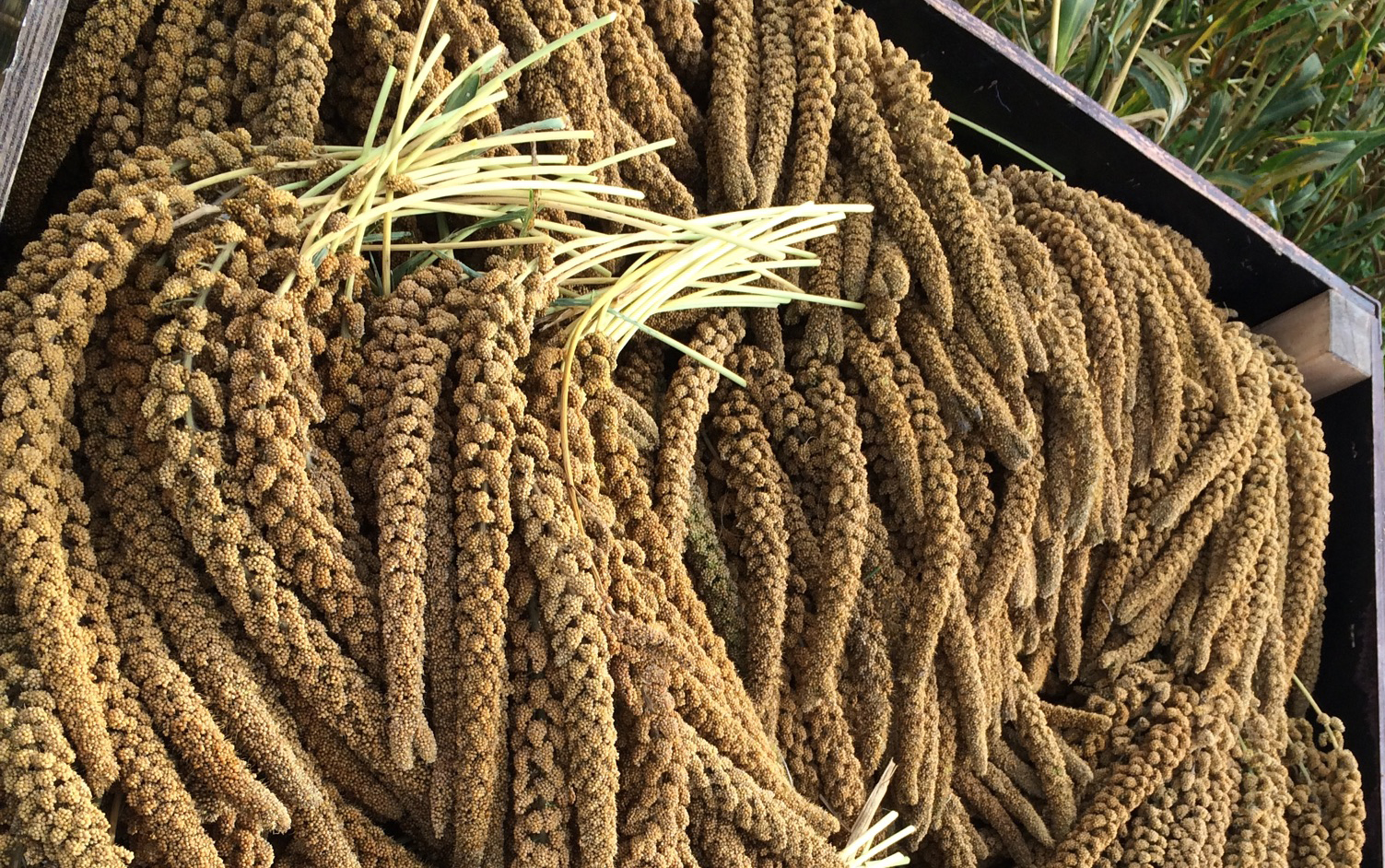 Gautier SA — warehouse